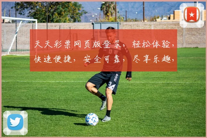 天天彩票网页版登录，轻松体验，快速便捷，安全可靠，尽享乐趣，三步即可